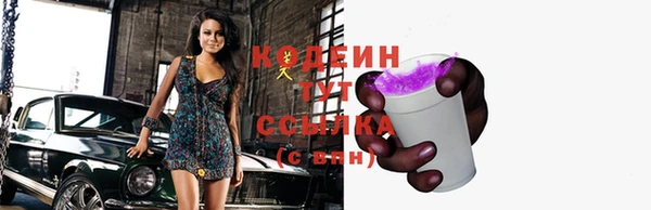 мет Корсаков