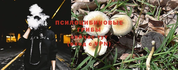 мет Корсаков