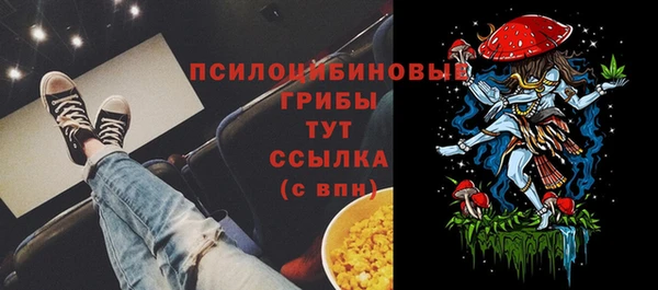мет Корсаков