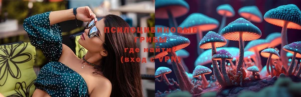 мет Корсаков
